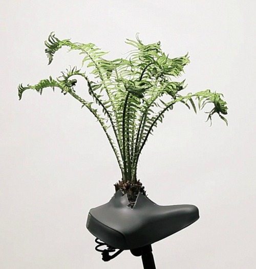 unconsumption:junkculture:Campaign Aims to Turn Abandoned Bicycles’ Saddles into Outdoor Planter