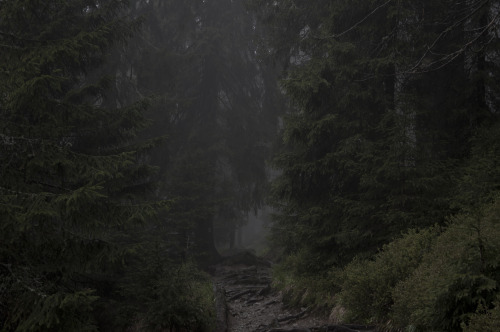 kamilanoranetik:  KNN J E S E N I K Y http://kamilanoranetik.com/ 