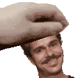 Here, So You All Can Pet Them