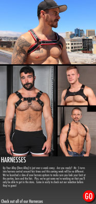 mrsleather:  Tick Tock - get your harness