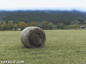 dontgifadamn:  Faster than spider man
