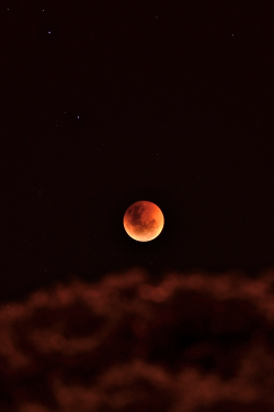 bblliiss:      Blood moon rising