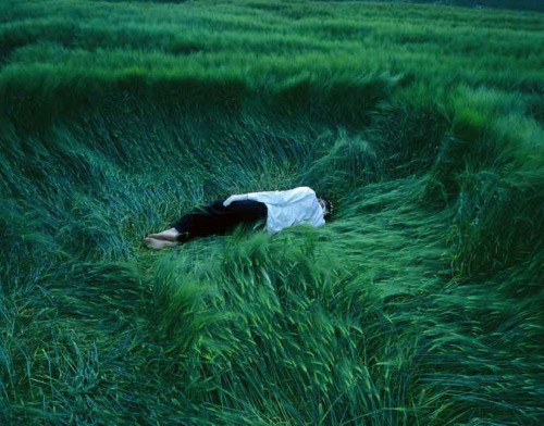 ahwahreh:  whoinspiresme:  Václav Jirásek - Infection, 2002  i want to go to a field which has grass like this 