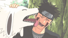 I Don't Think We Talk About Kiba Inuzuka Enough