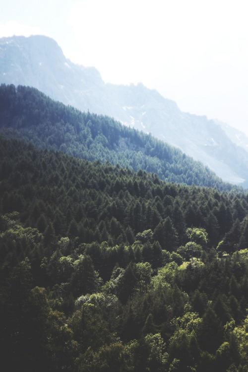 its-me-francis: drxgonfly: - (by lunaperri) Lovin’ it <3