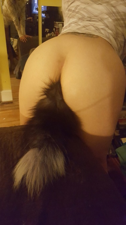 Porn coupleoquirks:😟 my foxtail broke but Master photos