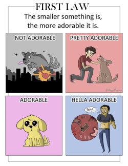 tastefullyoffensive:  The Six Laws of Adorability