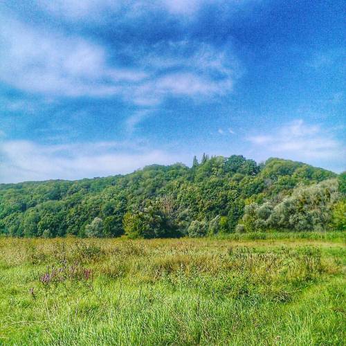 Нет ничего постоянного, кроме переменчивости. #Украина #осень #природа #Харьков #Киев #ukraine 