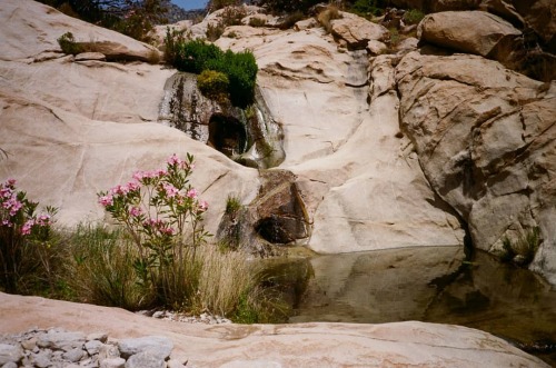 Ikaria, Greece, 2021 #ikaria #greece #aegeansea #northaegeanisland #river #smalllakes #landscape #na