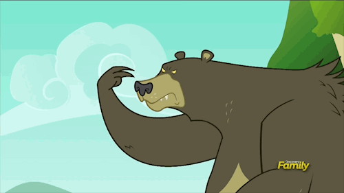 bear stare