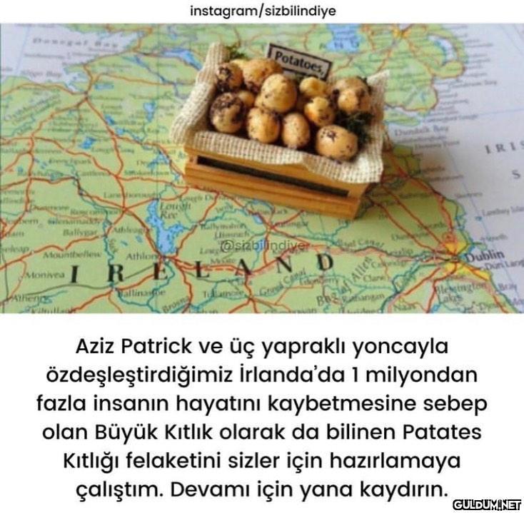 Patates diyip geçmeyin :)...