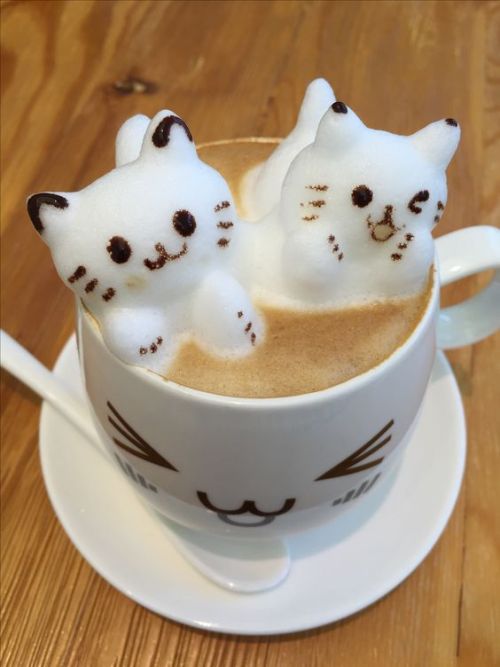 daily–cats:  This is my type of coffee ♡