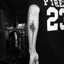 horrorcutie:  showandiwonttell:  another tree tattoo added and I am in love.   you’re finally getting notes