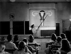 1950sunlimited:  Sexual Education 101 