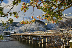 osakadreaming:Togetsu-kyo Bridge by noriko1984