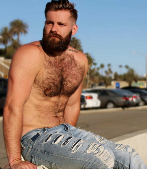 Hairy on Holiday adult photos