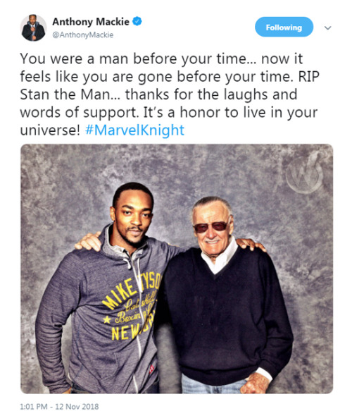 XXX mercedesknights: Tweets dedicated to Stan photo