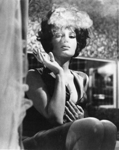 sala66:  Monica Vitti en “Modesty Blaise”, 1966