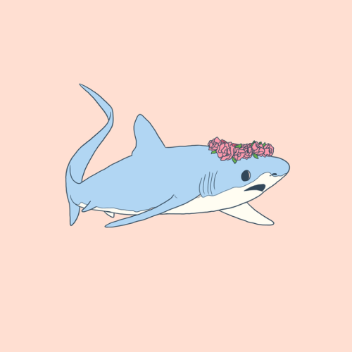 kippydraw:  HAPPY SHARK WEEK!! enjoy some pastel sharks✨  You can also find these designs on my Redbubble! 