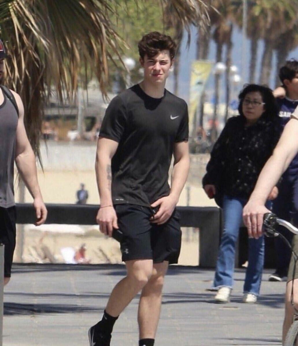 elpincheari:Shawn Mendes