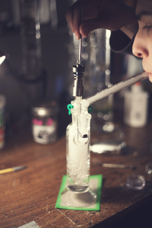 a-local-drug-dealer:  diceberg:  This is a nice ass sheldon   I 