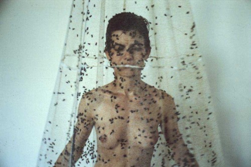 shoulderblades:  bride, zoran todorovic, 1998  “Photo session with naked girl covered with sugar syrup exposed to several kilos of living flies broaded for the occasion.”  