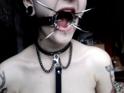 hogsandcuties:  New collar, new gag ^-^