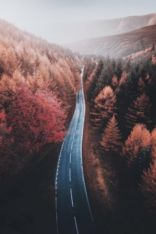 alecsgrg:  Snake pass | ( by Chris ) 