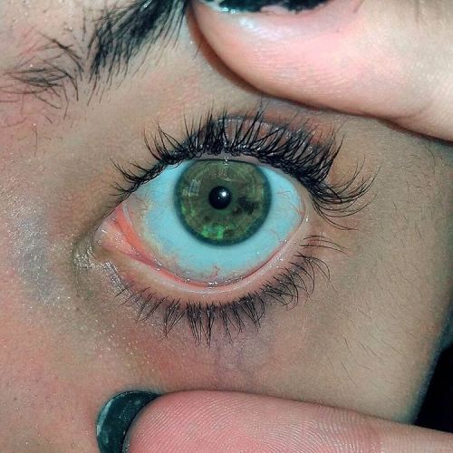 oi-eu-sou-o-ray.tumblr.com/post/143149374681/