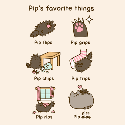 pusheen turtle