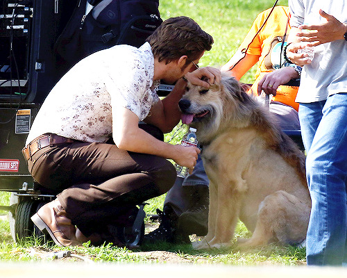 delevingned-deactivated20151023: Ryan Gosling and George on the set of “The Nice