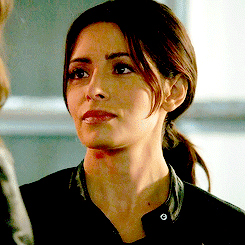 Root & Shaw and their “you mean so adult photos