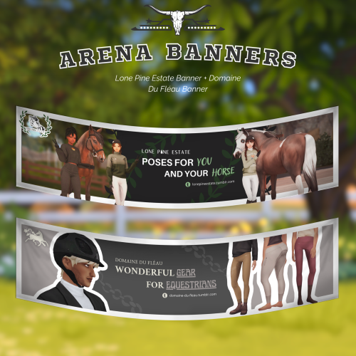 Hello Horsey Enthusiasts!