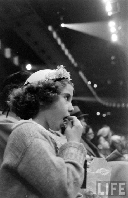 Seeing Ringling Bros. and Barnum &amp; Bailey Circus at Madison Square Garden(Cornell Capa. 1953