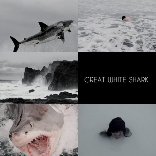 sproutaesthetics: mermay | APEX PREDATOR MERMAIDS the ocean has always been a dangerous place, and t