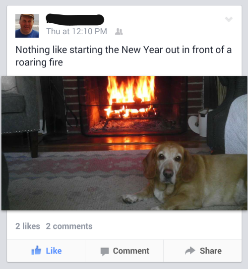 gaysleepy: i’m laughing sooo hard @ my dad’s denial of how fat our dog is lmao 