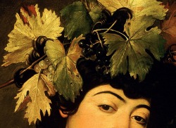 xshayarsha:    Bacchus, 1595 (detail) Caravaggio.   