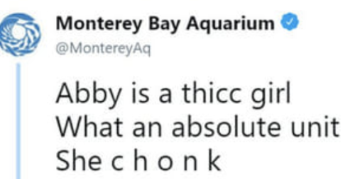 arbor-viridanus: a-bold-move:  In case anyone was wondering who Abby is:  Absolute unit is right hol