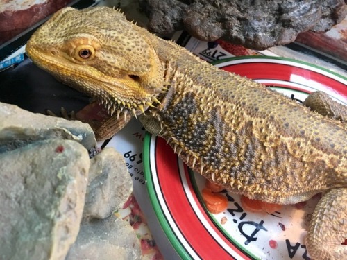 So Lumpy And Grumpy