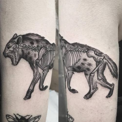 Hyenas are cool. Thanks Jace! #spottedhyena #hyena (at Passage Tattoo)