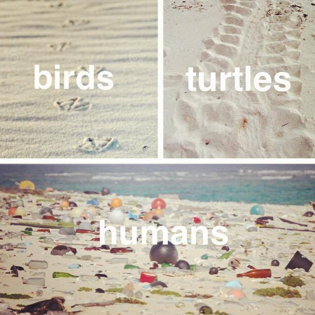 theveganmothership:  Take action with Surfers Against Sewage marine litter campaigns