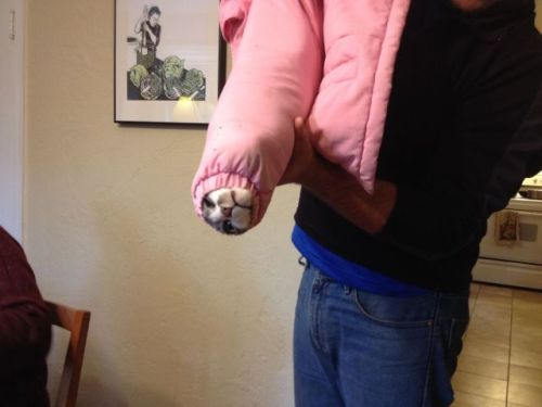 zpaze: cirquedusogay: what a weird looking hand it’s not nice to make fun of handicat people