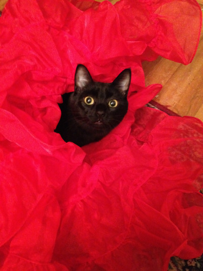 Vlad says, “wheeeee, petticoats!”