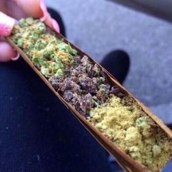 thatsgoodweed:  A blunt of many flavors —