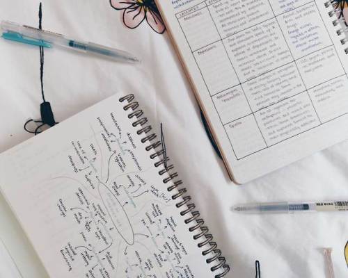 studieverse: 10.09.19 brain anatomy and chill p.s. my charging cable is dangling in the corners but 