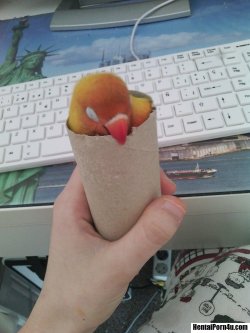 HentaiPorn4u.com Pic- You asked for a Mango burrito, here it is. http://animepics.hentaiporn4u.com/uncategorized/you-asked-for-a-mango-burrito-here-it-is/You asked for a Mango burrito, here it is.