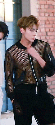 Yibo Please