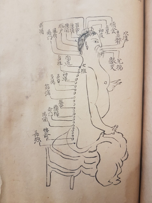 LJS 389 - [Shi si jing fa hui]This is a 14th-century treatise on the anatomy, physiology, and pathol