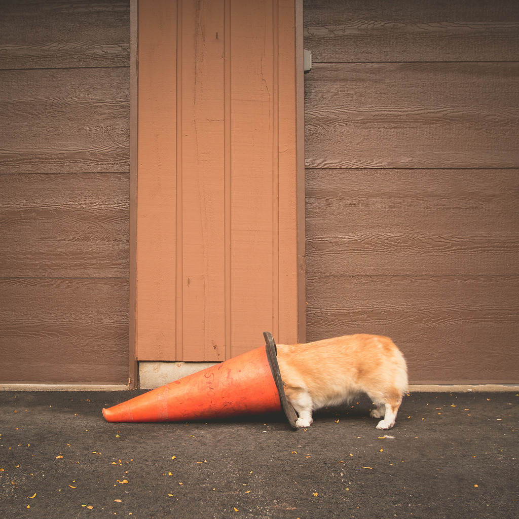 thisgingerischronic:
“orfs:
“ this is the worst silent hill cosplay i’ve ever seen
”
oh my god
”