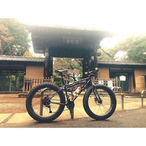 bikes-bridges-beer:  豪徳寺、招き猫に会いにきた。 #surly #surlybikes #fatbike #mtb #moonlander #builtbybluelug htt